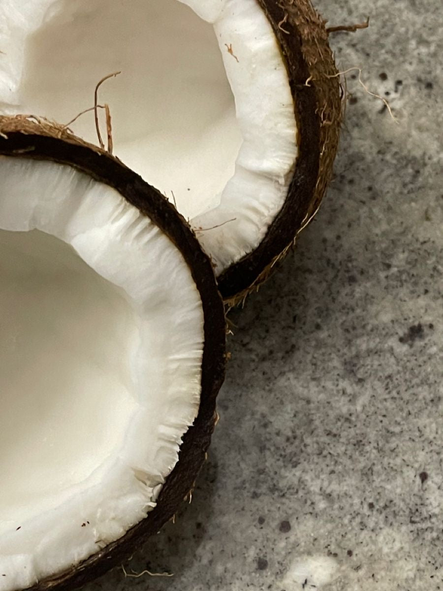 Pucker Perfection: Discovering the Best Lip Scrubs