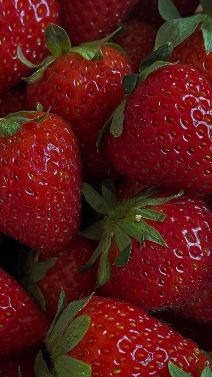 Pucker Perfection: Discovering the Best Lip Scrubs